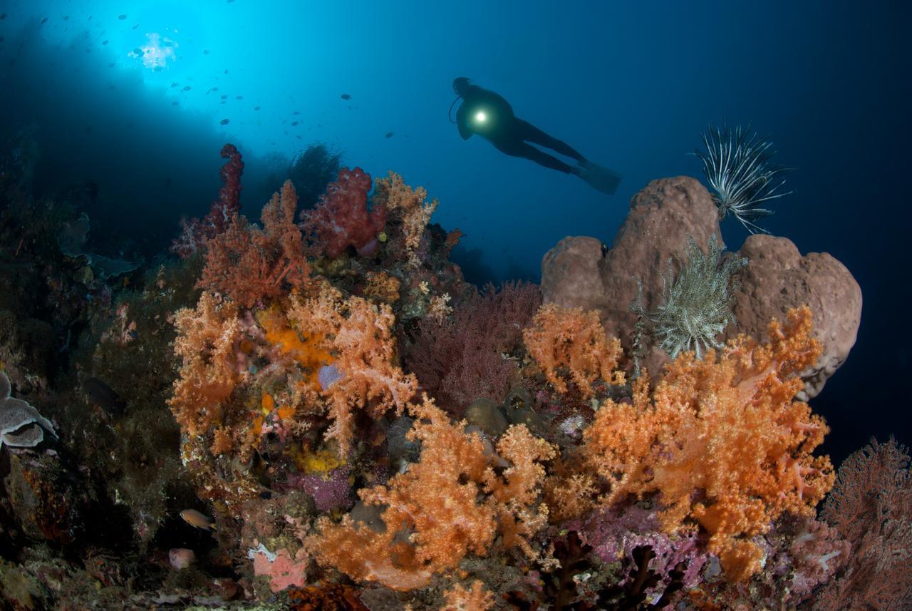 Murex Dive Resort Манадо Экстерьер фото