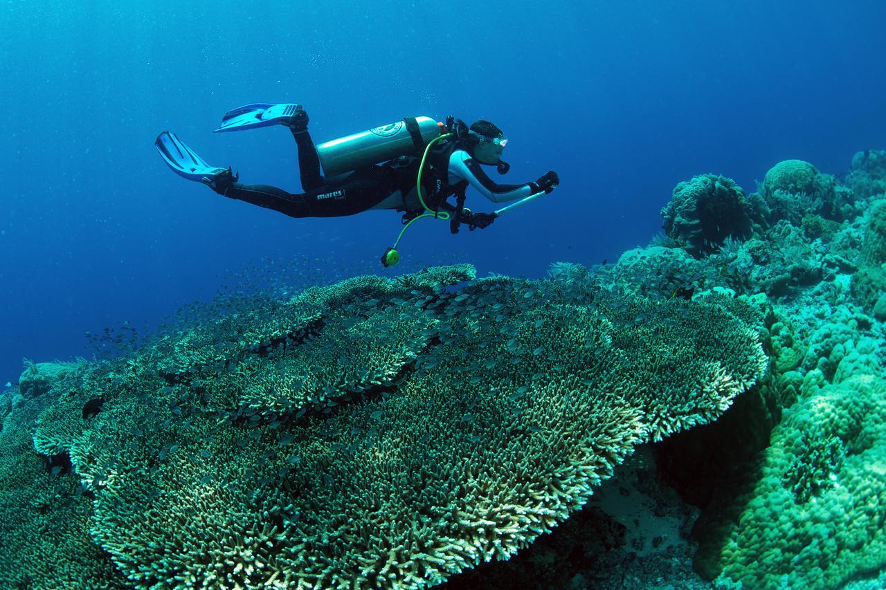 Murex Dive Resort Манадо Экстерьер фото